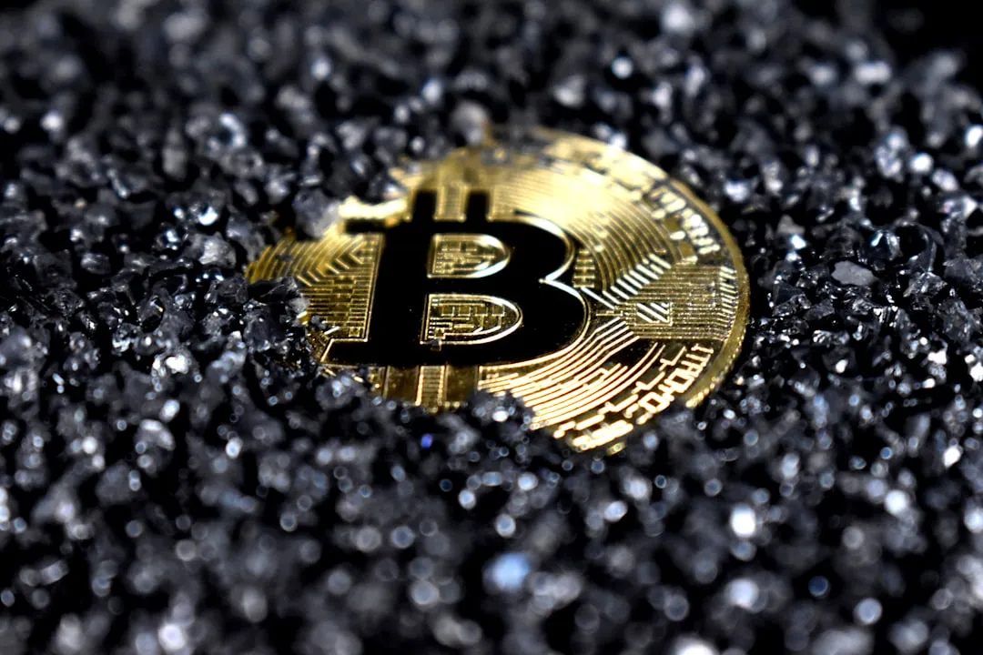 Digital asset pricing model using machine learning predictions